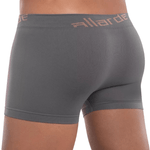 Cueca-allarde-CC5020-cinza-costas