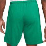 Shorts-nike-BV6855-302-Verde-costas
