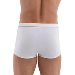 Cueca--Lupo-Sunga-Microfibra-sem-Costura-676-002-1110-Branco-4-min