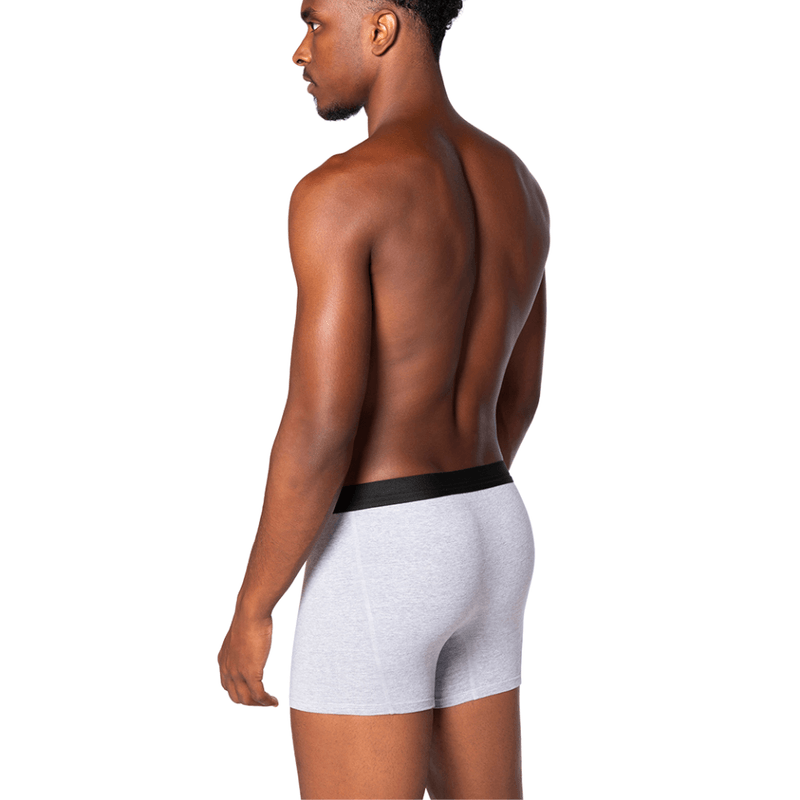 Cueca-Lupo-Cinza-Mescla-18465-001