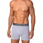 Cueca-Lupo-Cinza-Mescla-784-057