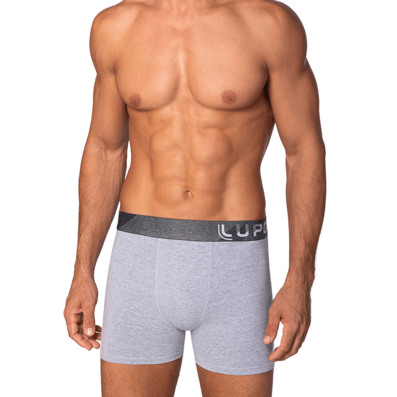 Cueca-Lupo-Cinza-Mescla-784-057