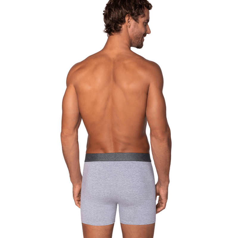 Cueca-Lupo-Cinza-Mescla-784-057