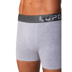 Cueca-Lupo-Cinza-Mescla-784-057
